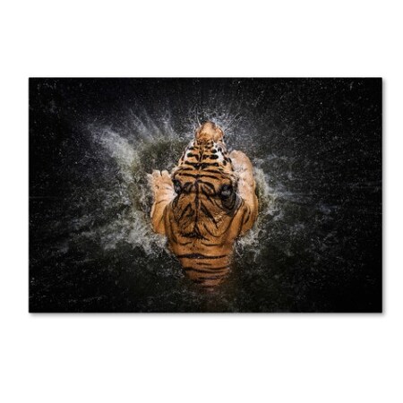 Trademark Fine Art Win Leslee 'Tiger Splash' Canvas Art, 16x24 1X00393-C1624GG